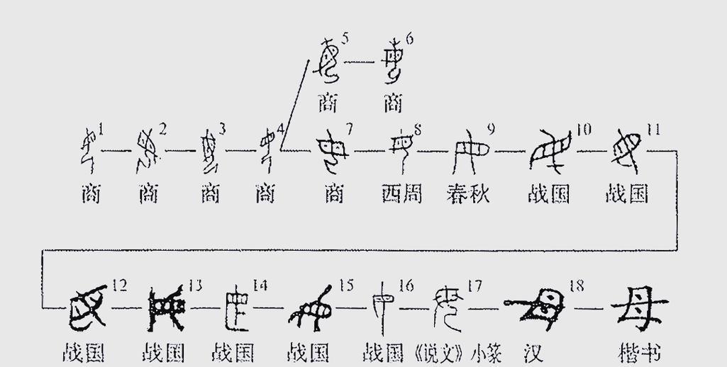 甲骨文的含义和影响