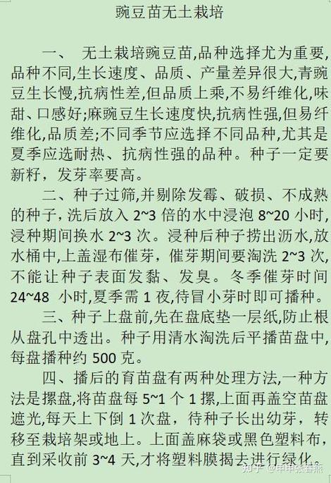 豌豆尖如何种植