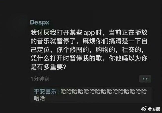 打开其他app音乐会暂停