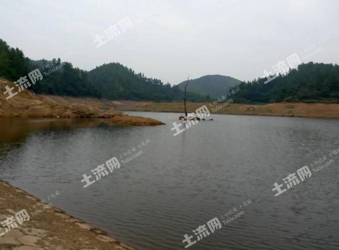 附近水库出租或转让