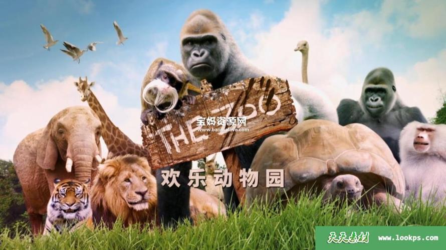 快乐动物园无广告