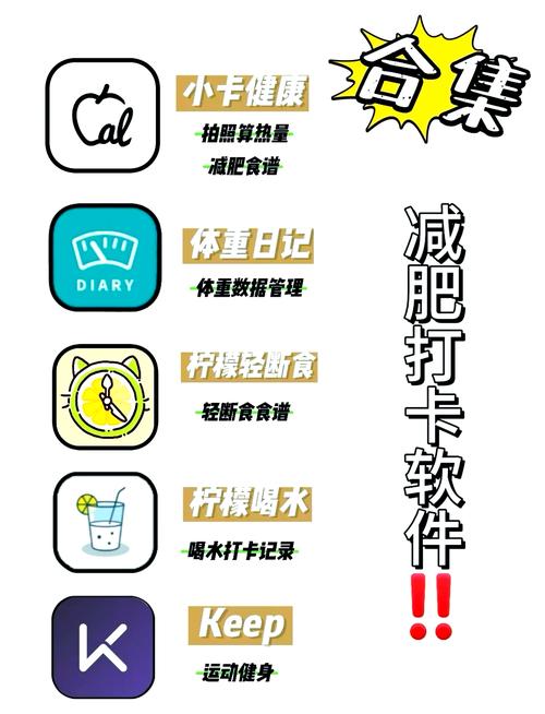 瘦身的app