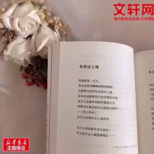 走出的正确解释 走出的正确解释