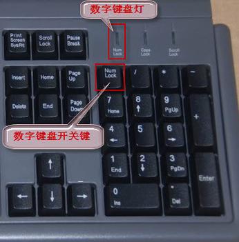 电脑上字母键打出数字