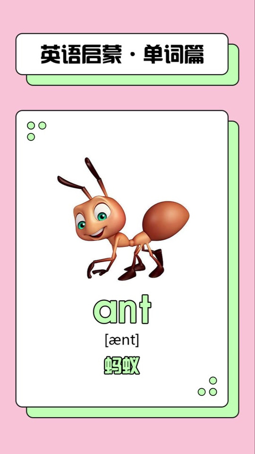 ant怎么读英语发音
