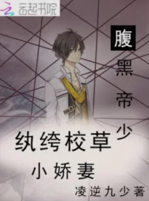 帝少小娇妻又闯祸了