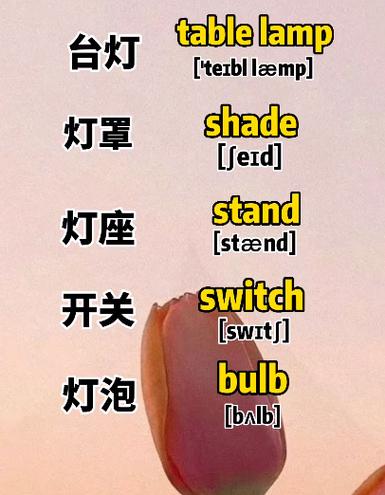 teⅡ正确发音
