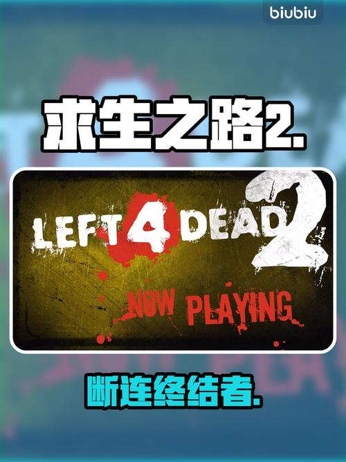 求生之路2连接失败截图3