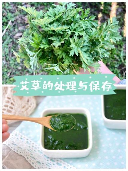 煮过水的艾叶晒干还能用吗