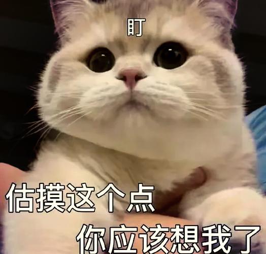 发给男朋友的表情包