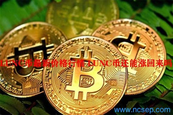 lunc币还能涨回来吗