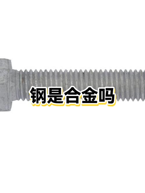 钢属不属于合金