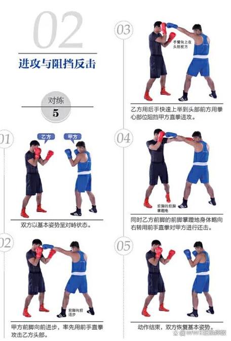 拳法教学视频