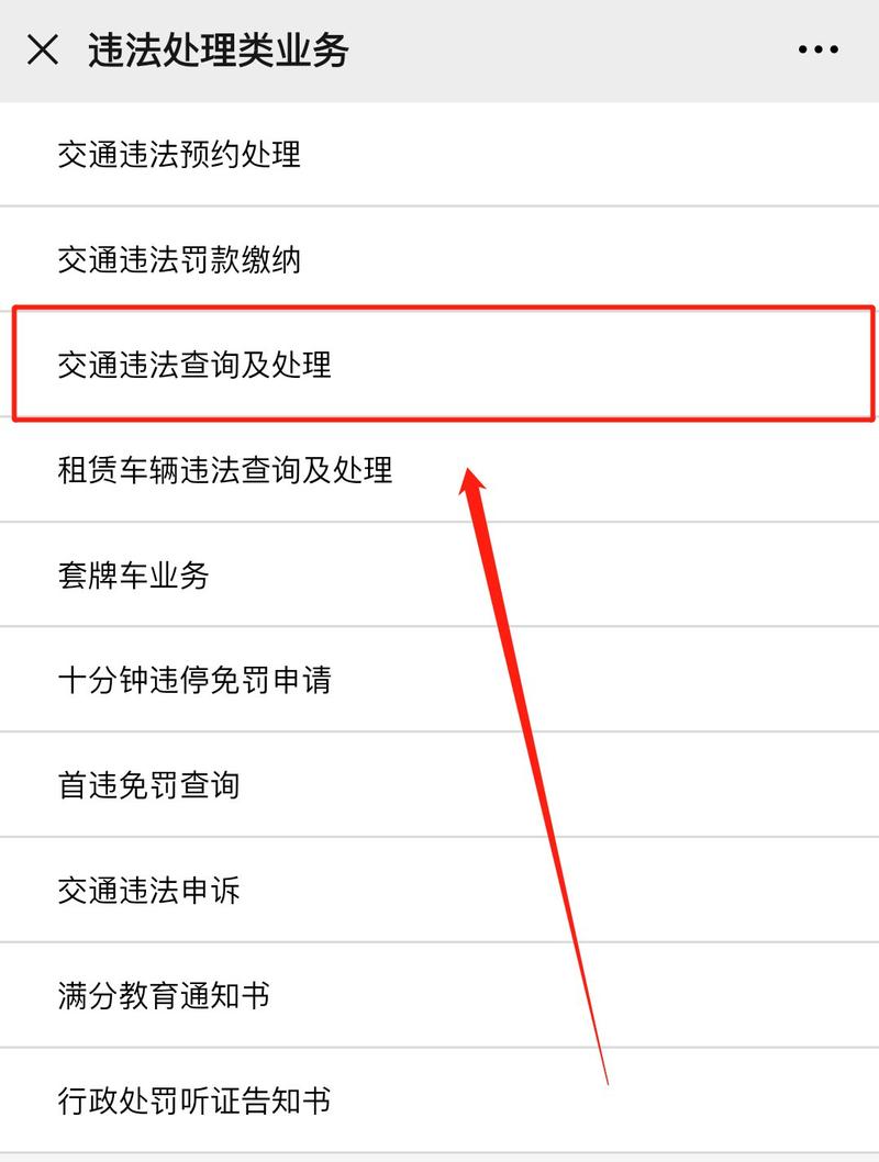 湖南违章查询在线查询