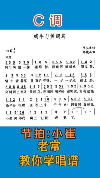 《蜗牛与黄鹂鸟》歌词