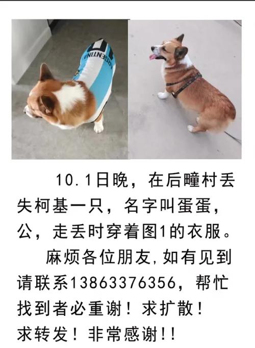 五莲吧百度贴吧度贴吧寻找狗