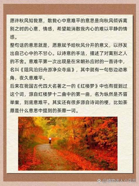 中年无限凄秋风