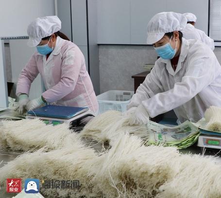 小型粉丝加工机视频