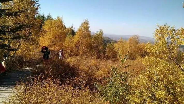手机号能找到火山号码