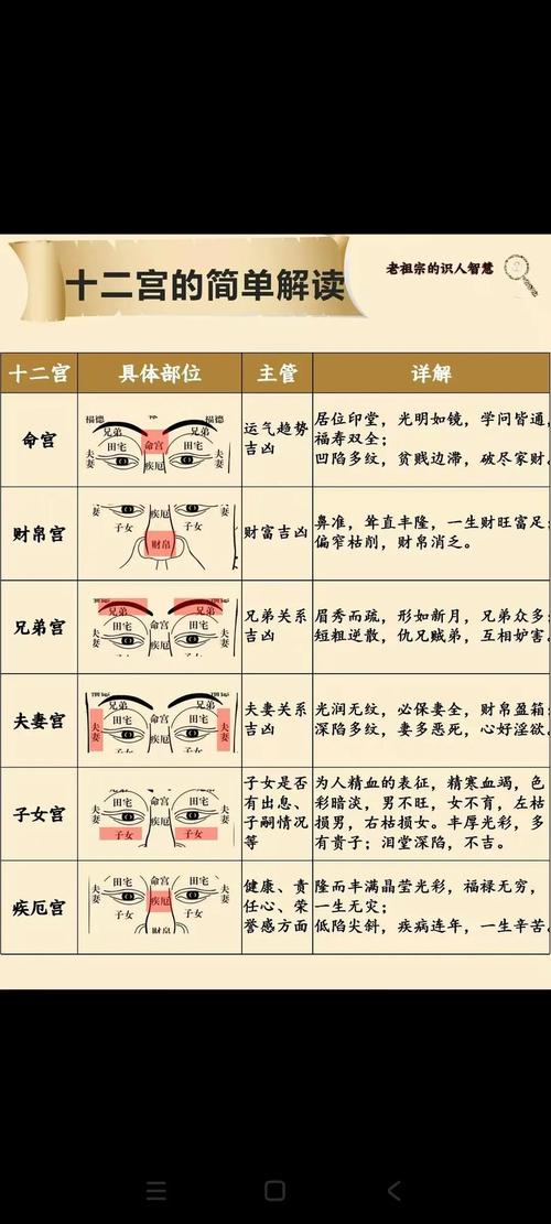 天相百度百科人物介绍