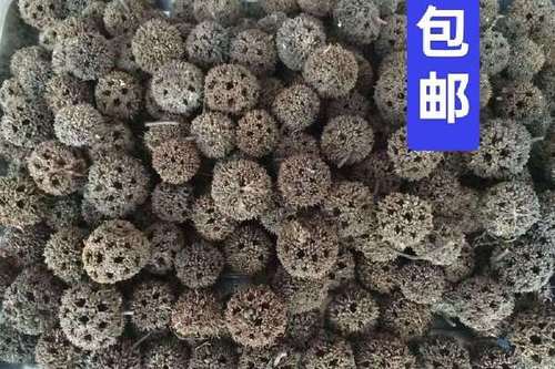 路路通哪里产最好