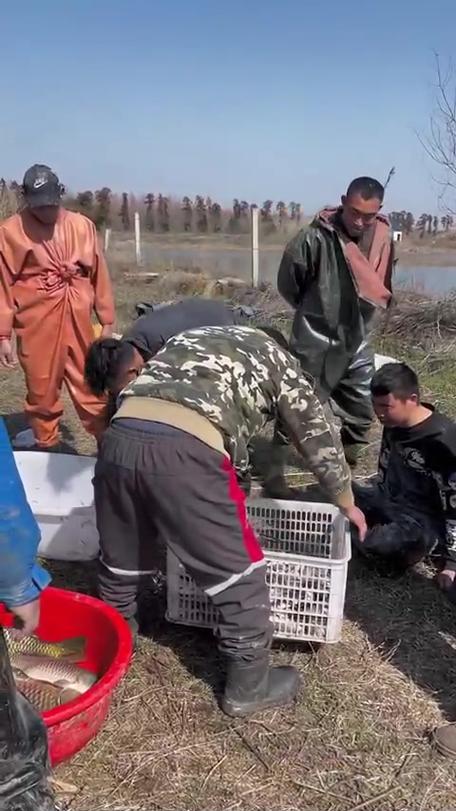 水泵抽水抓鱼