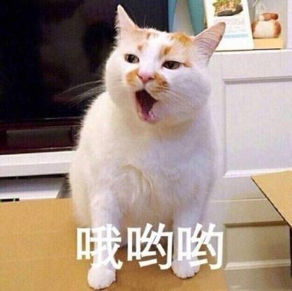 哦哟哟配音