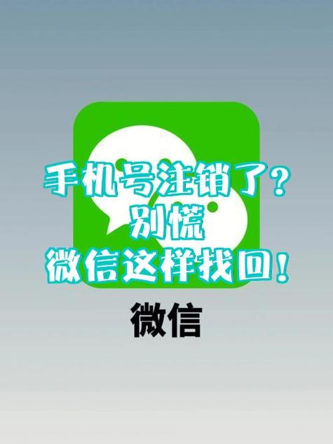 微信号丢了怎么找回原来的微信号截图2