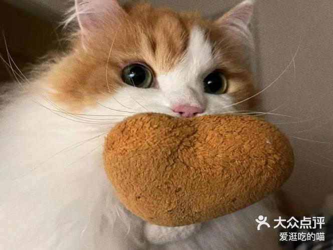 萌喵biubiu更新后叫什么