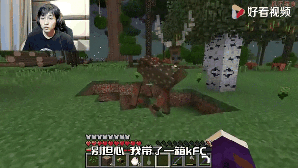 阿木木历我的世界生存