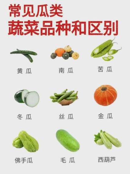 20种常见瓜类