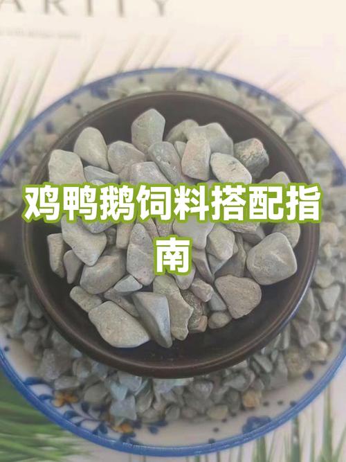 鸡鸭鹅哪个营养好截图3