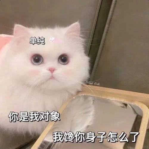 男生撩女朋友的表情包