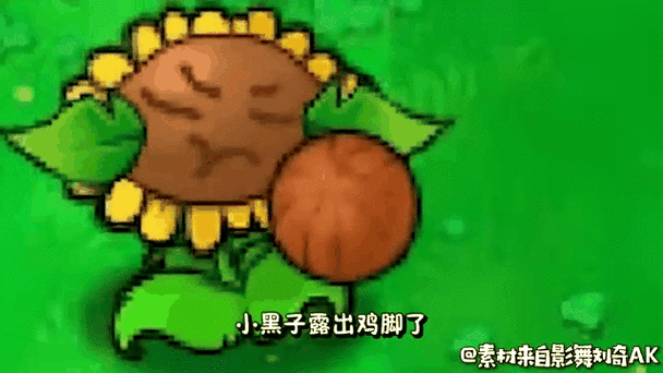 奇葩版植物大战僵尸