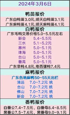 当鸭子一天挣多少钱
