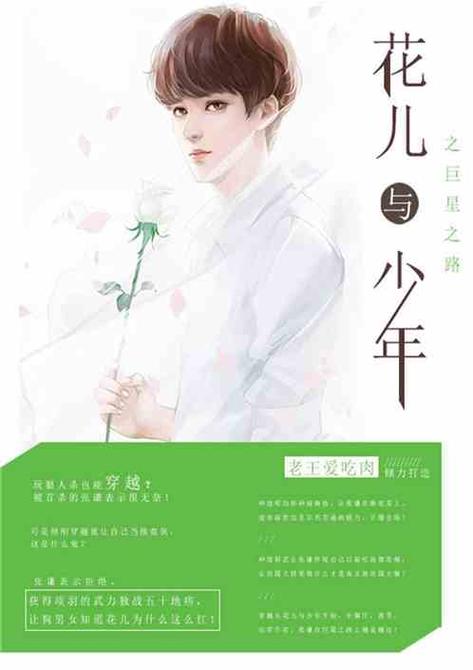 花儿与少年之巨星之路小说