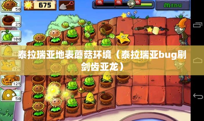 泰拉瑞亚pc刷东西bug截图3