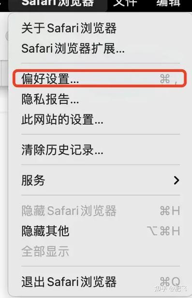 为什么safari老是跳百度