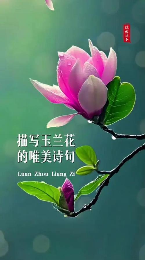 有关鲜花的短句子