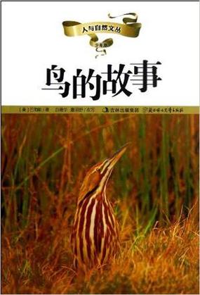 鸟的故事有没有手机版