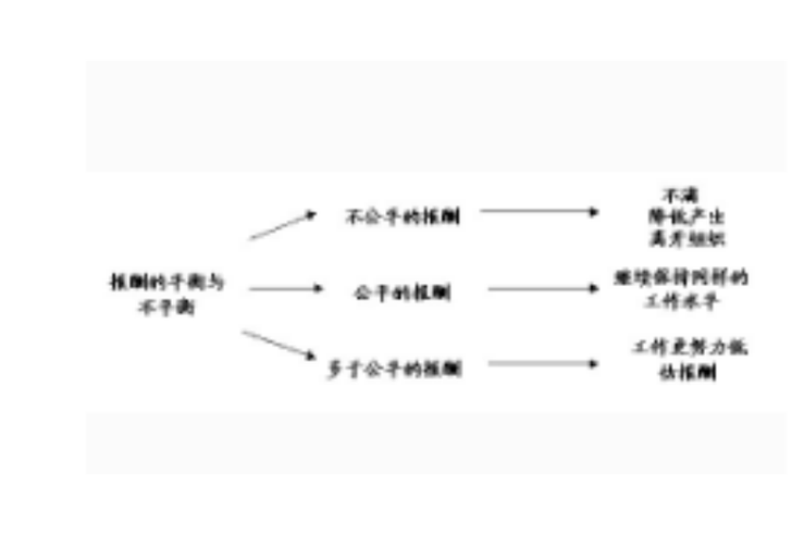 公平分配包括什么