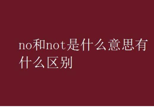 no和not的区别