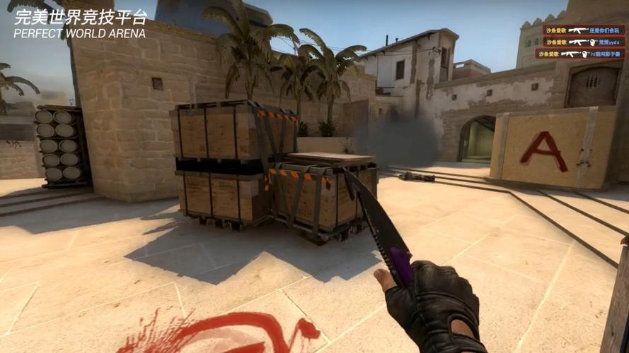 csgo完美时刻能删吗