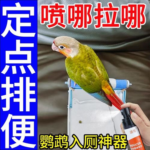 鹦鹉排便诱导剂有用吗