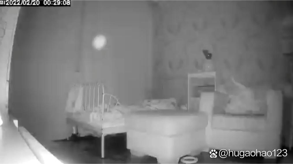 监控晚上拍到圆形白色光