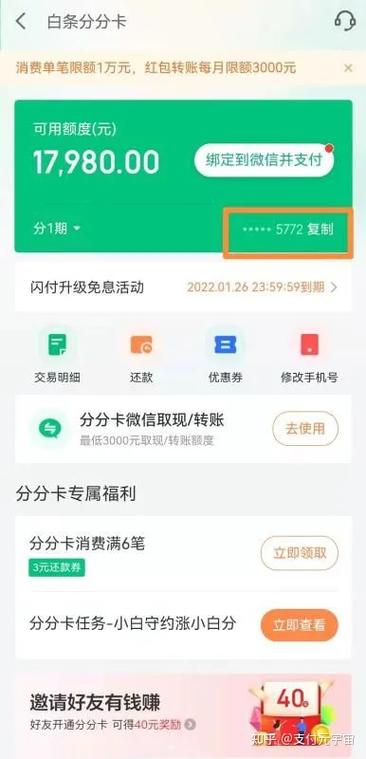 京东的付款码不可以白条支付吗