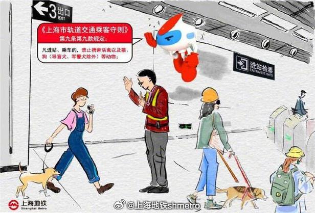 地铁上能带猫上车吗注意事项