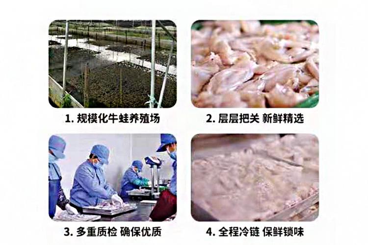 牛蛙供应商