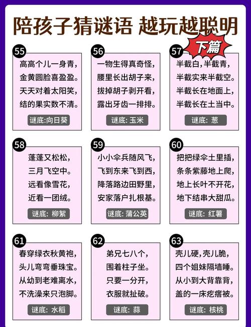 猜字达人星星舰答案截图3