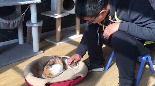 猫救助站24小时人工服务